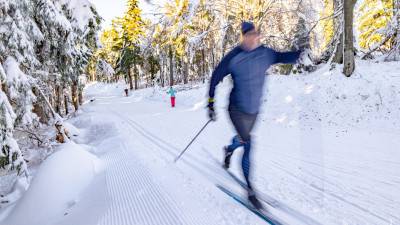 Takmer stovka kilometrov upravovaných bežecký tratí, to si už zaslúži prívlastok pre Skalku - RAJ BEŽKÁROV. - Hotel GOLFER